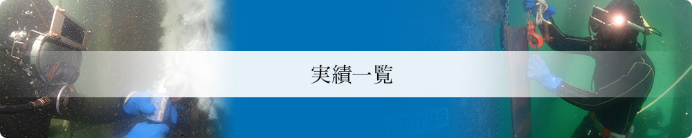 実績一覧